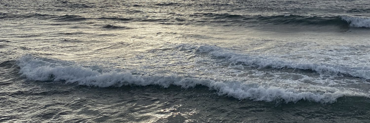 N__July29's profile banner image