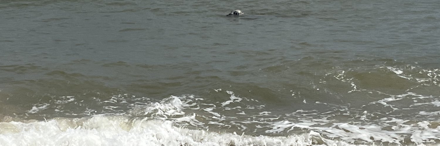 Simon shoobridge banner