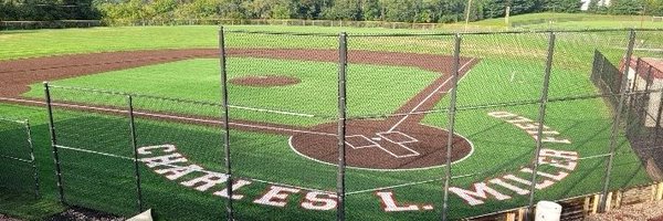 TheDiamondHawks Profile Banner