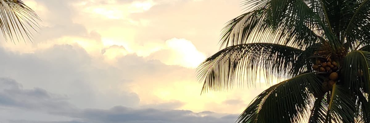 mayaunbound's profile banner image