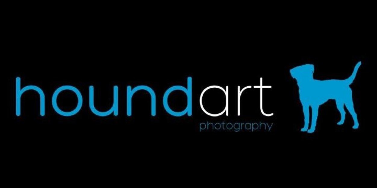 HoundArt's profile banner image