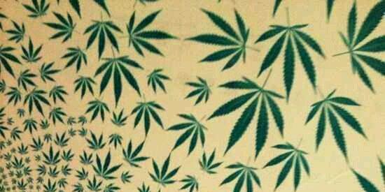 KushQueen19's profile banner image