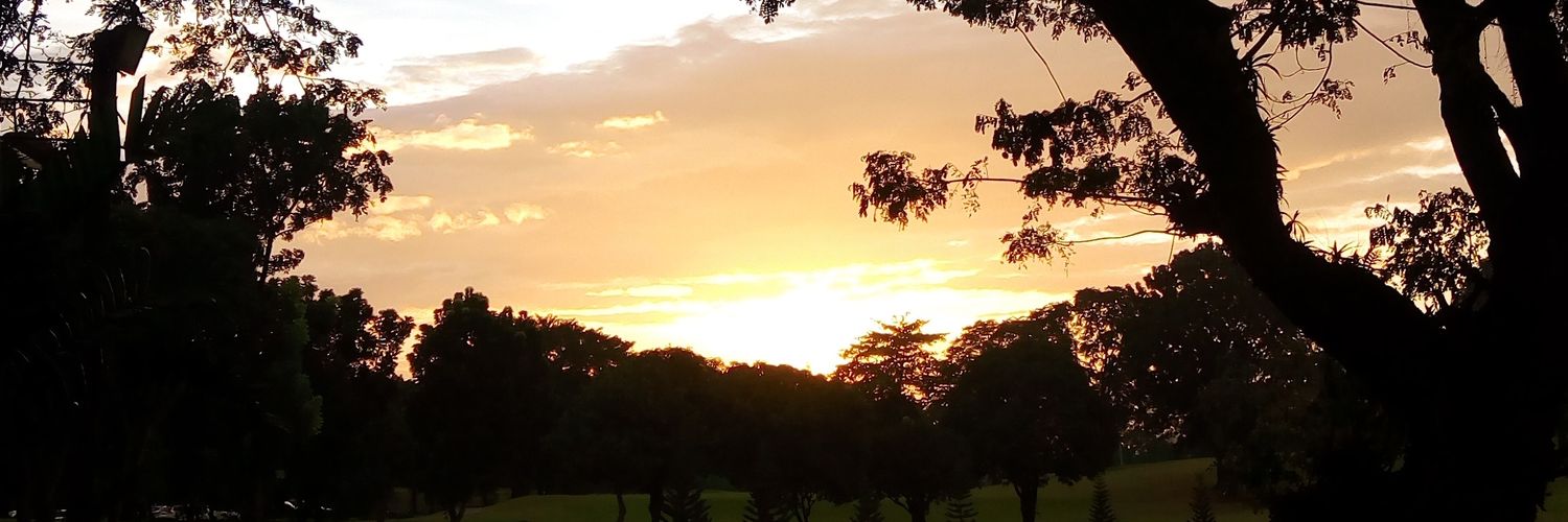 Ellieppines's profile banner image