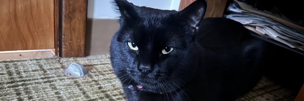 D1LLB0B Profile Banner