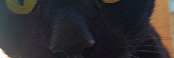 FLYAGARIC2019 Profile Banner