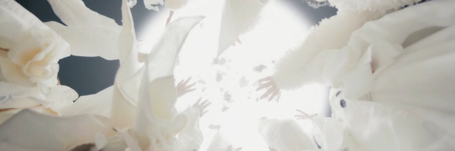 🤍 banner