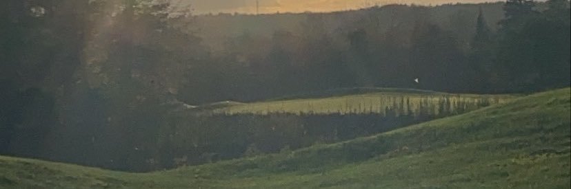 Stephen Taylor banner