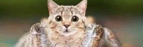 ohiobanban Profile Banner