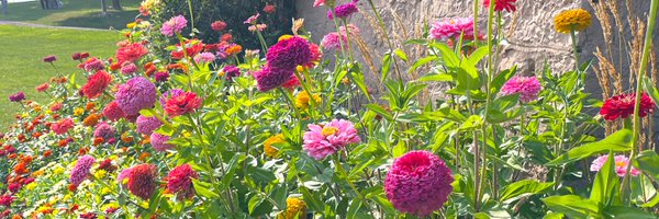 acoolmati Profile Banner