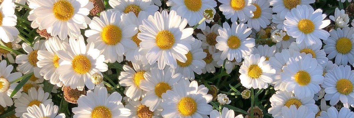 hidayatiwn's profile banner image