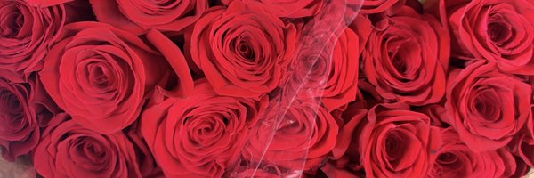 solostill_ Profile Banner