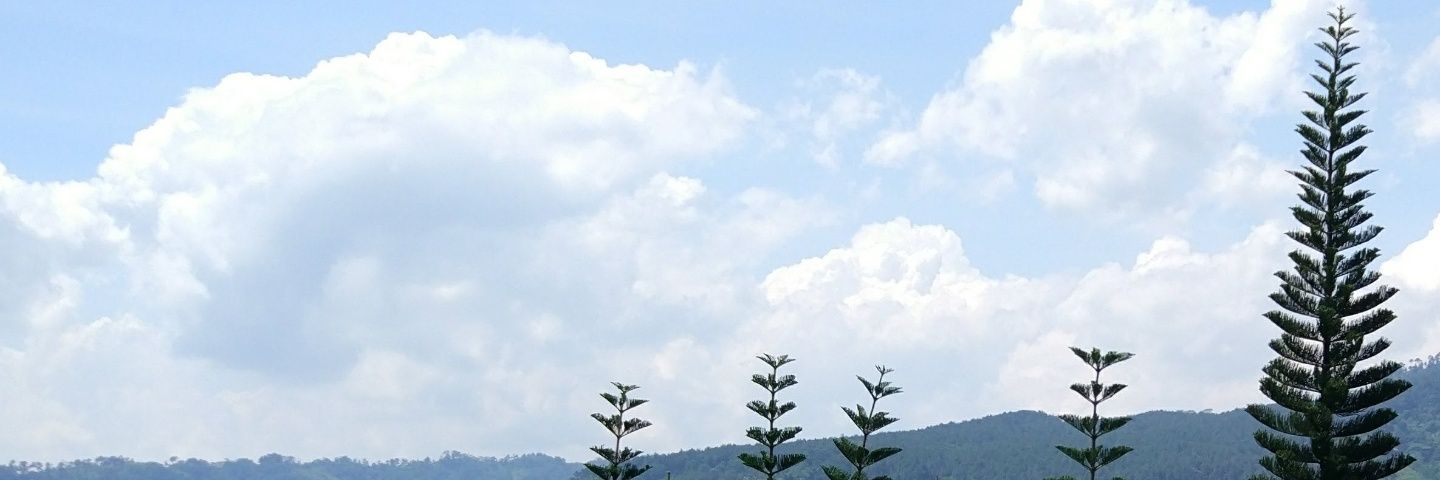 lianny's profile banner image