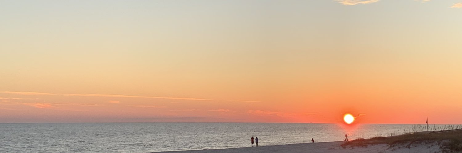 Dr. Suzie Estes banner