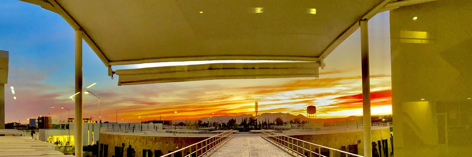 Pablov 🌸🪻 banner