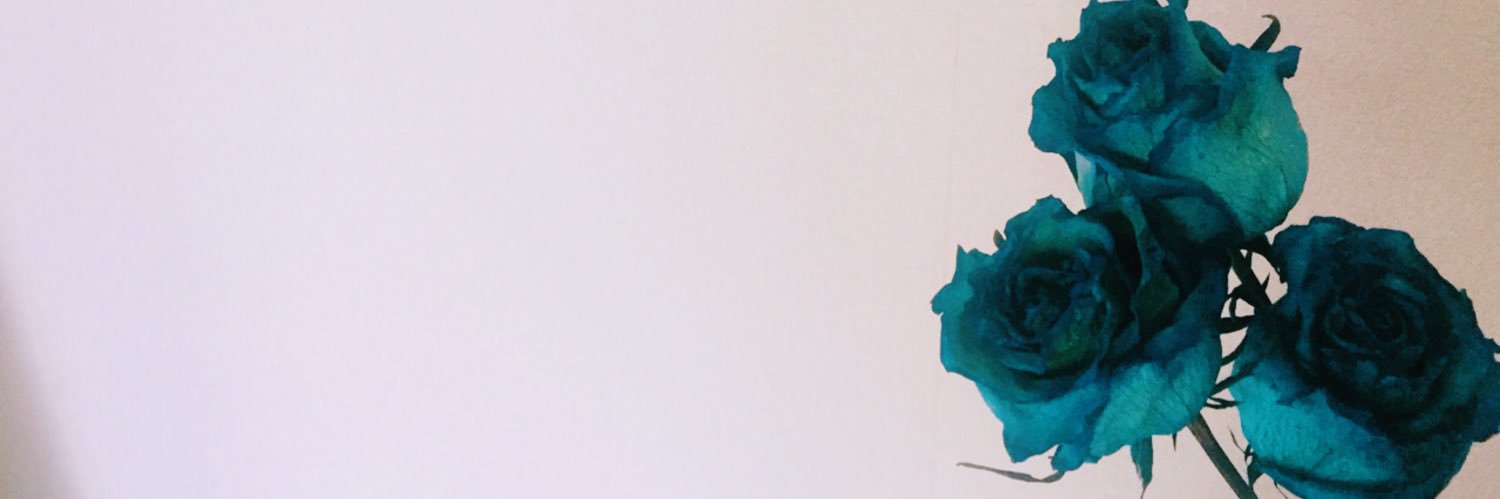 Ari banner
