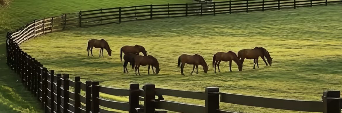 Dapper🇰🇪 banner