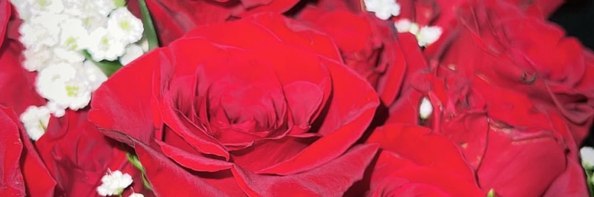 lovee.teee banner