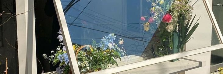 ✿ banner