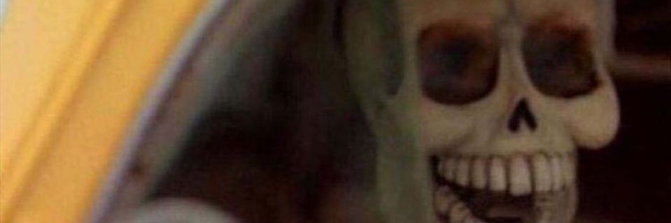 brittvollmer's profile banner image