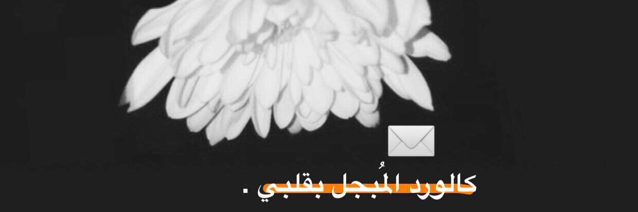3b_x7's profile banner image