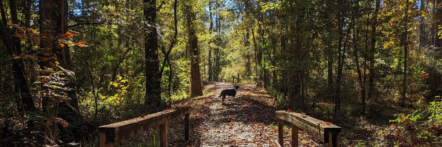 Void Cavalier banner