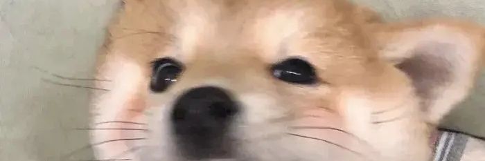 Vbacteria's profile banner image