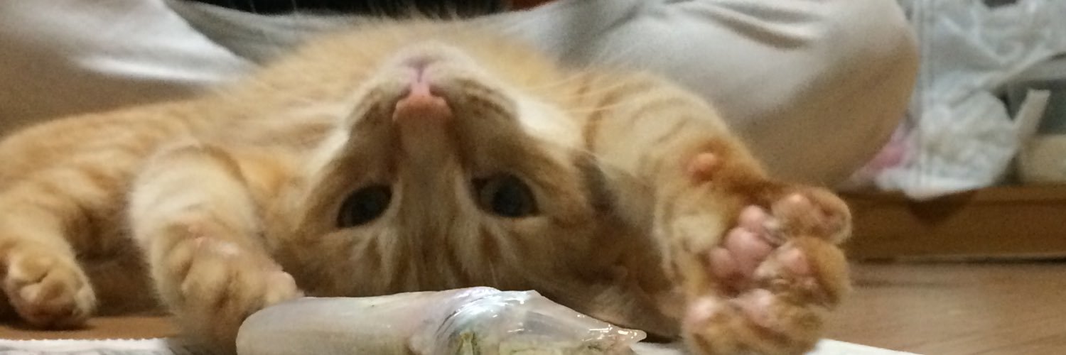 yusy_3's profile banner image
