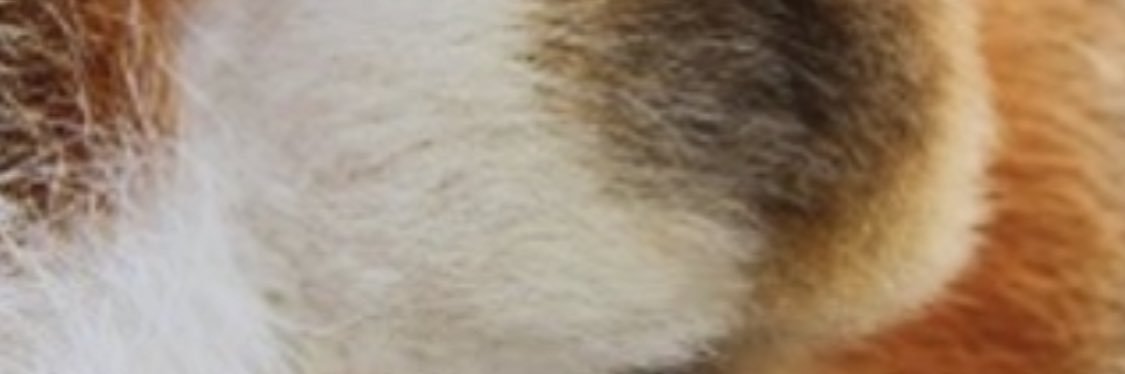 hahaaann's profile banner image