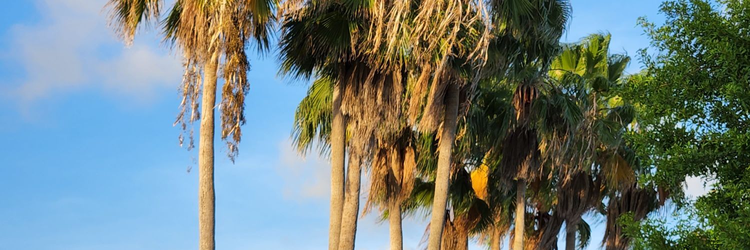 JRNove's profile banner image