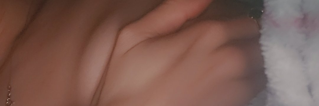 NotYourTransBaby banner