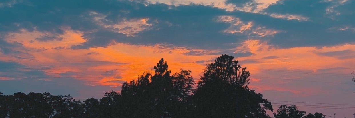 R banner