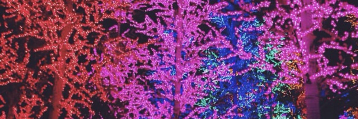 ucicwed1's profile banner image