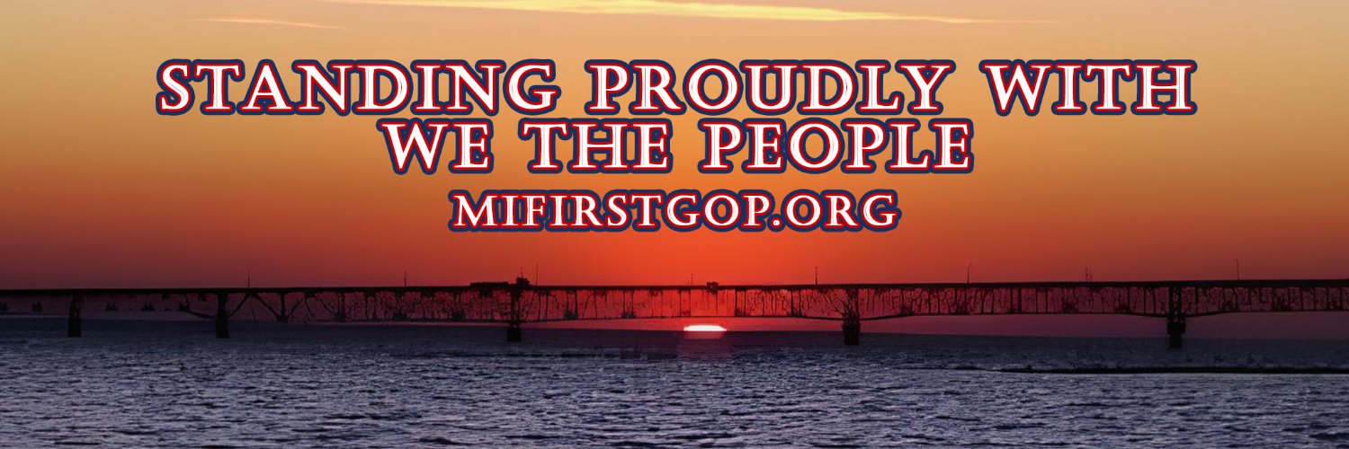 MIGOP1stDistrict banner