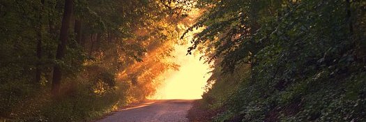 Alexis319177904's profile banner image