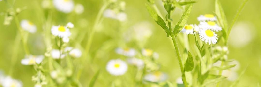 𝐃𝐫𝐚𝐦𝐚𝐭𝐢𝐜 banner