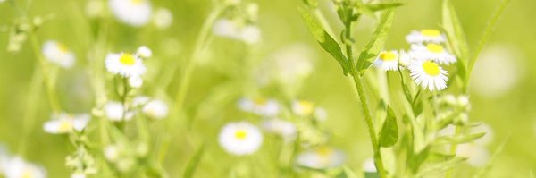 dramatic_ws Profile Banner