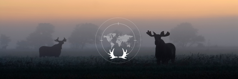 TheGreatWild's profile banner image