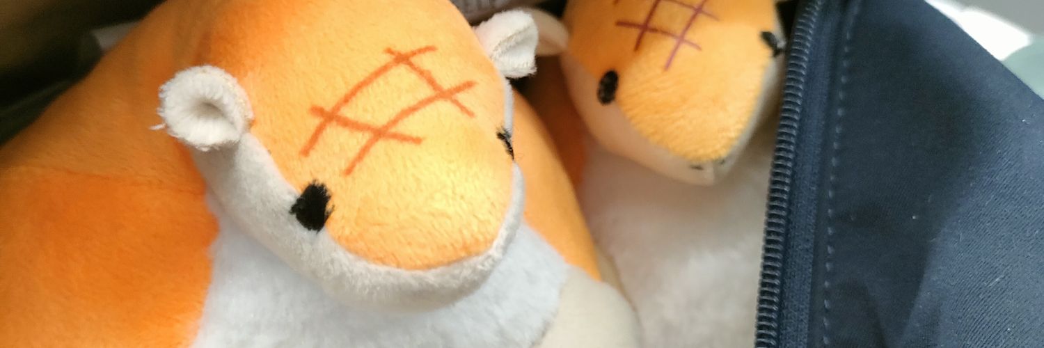 halchi_cosmelo's profile banner image
