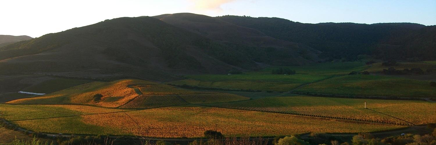 SYVWineClub's profile banner image