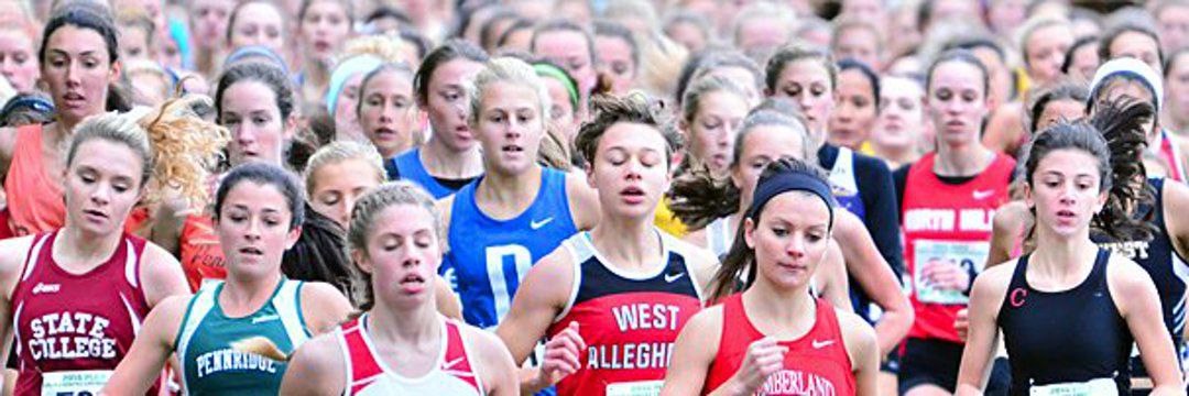PIAAsport1's profile banner image