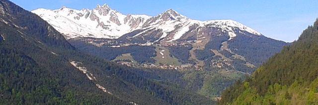 davos coco banner