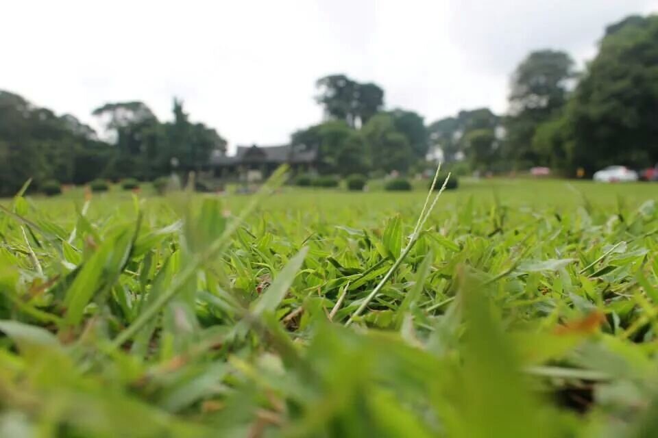 XI IPA 2  banner