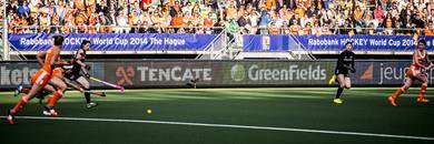 GreenfieldsSA banner