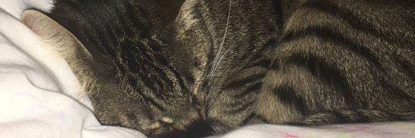 ra_ndyy Profile Banner