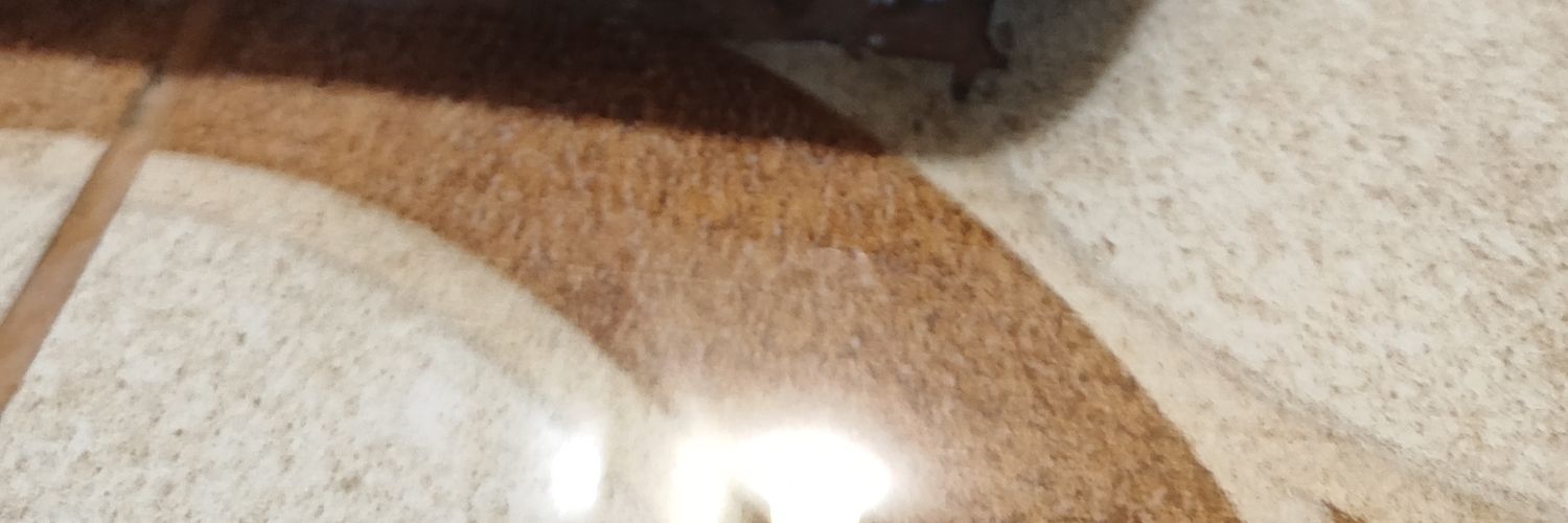 FikriSinurayaa's profile banner image