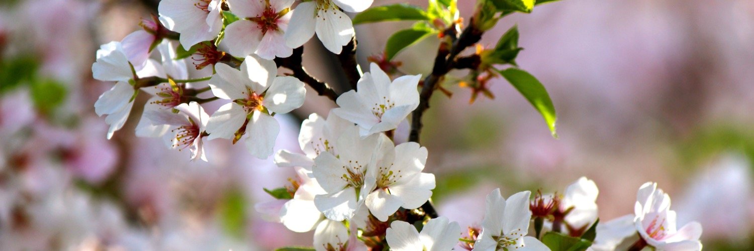 krutiamehta's profile banner image