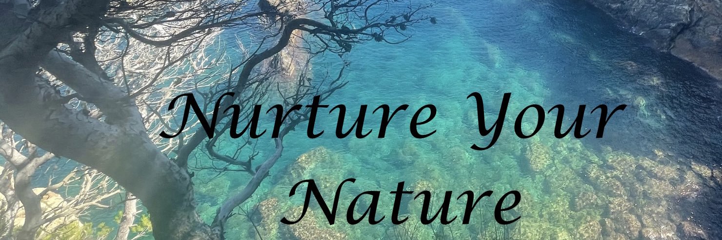 ForcesOfNatur3's banner