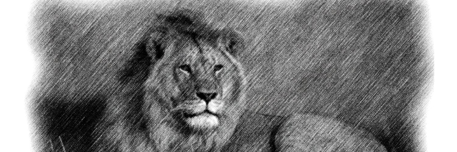 renesweb74 📯 banner