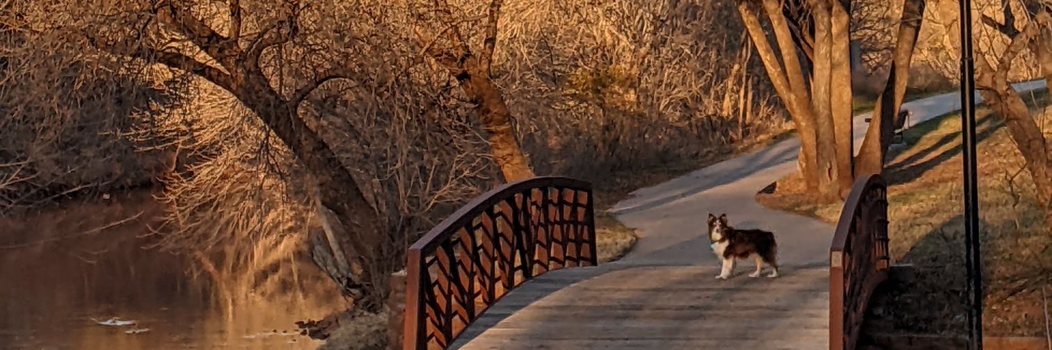 EmilySearsMed's profile banner image