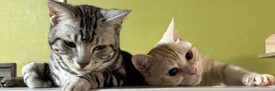 Kitune__Leonard's profile banner image